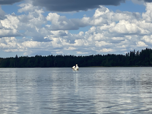 A0-E28-DAF-A556-4688-B925-0-B30-B696917-