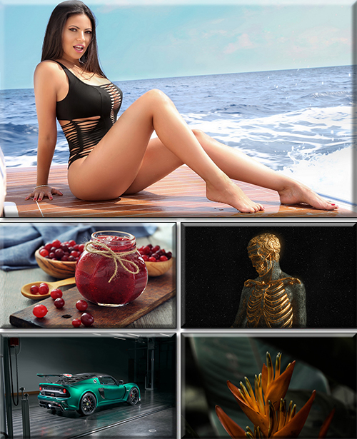 Computer Desktop Wallpapers Collection. Part 2946