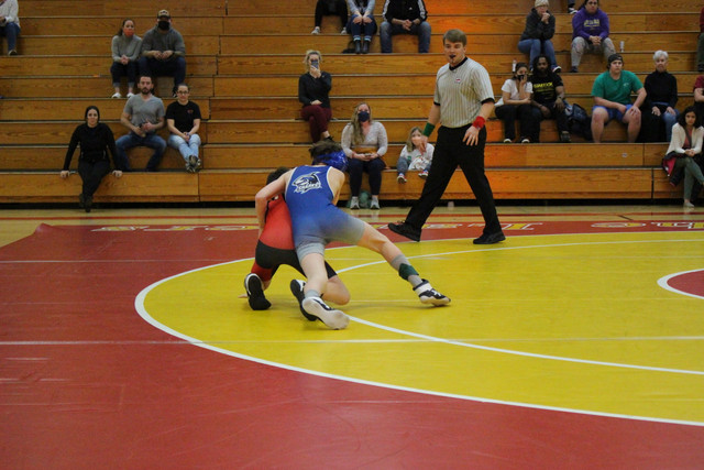 IMG-0185