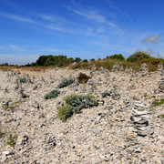 IMG-1473