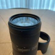 IMG-7394