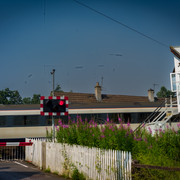 L1461435