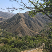 IMG-0958