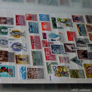 IMG-6927