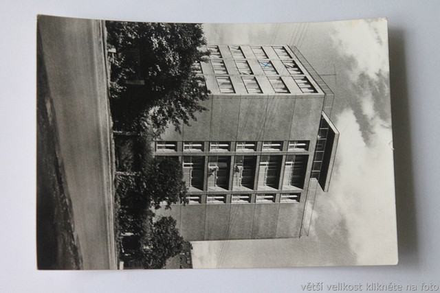 IMG-6467