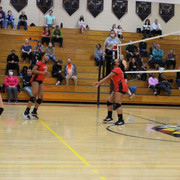 IMG-0293