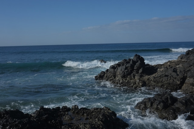 DSCF8389