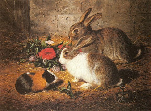 Barber-Alfred-R-Escaped-Two-Rabbits-And-A-Guinea-Pig
