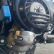 IMG-7545
