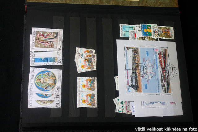 IMG-2428.jpg