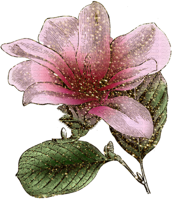 944696 36d85.png