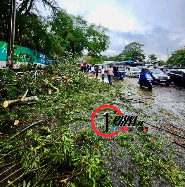 Incident Photo