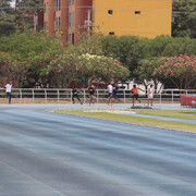 IMG-0462