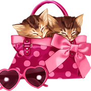 Woman-Accessories-2-94