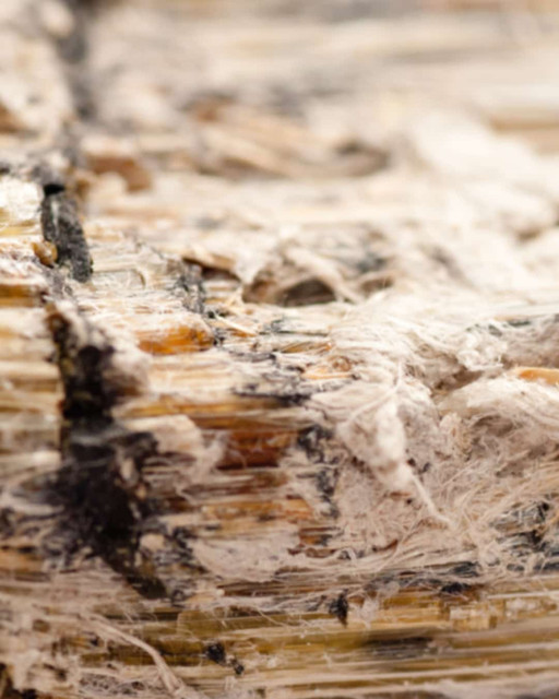  asbestos exposure

