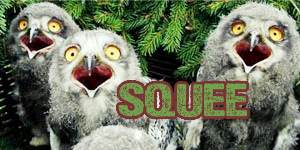 squee1-1.jpg