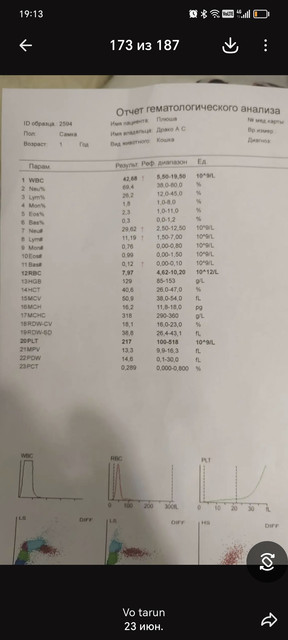 1001658796