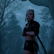 Ciri 006 - Escaping Imlerith