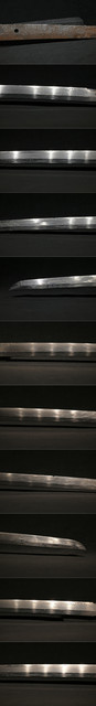 DSC2204.jpg