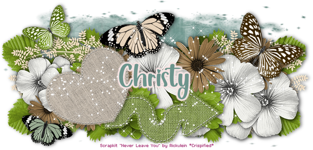 Christy 5070B.png