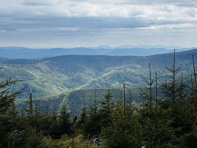 IMG 4358.jpg
