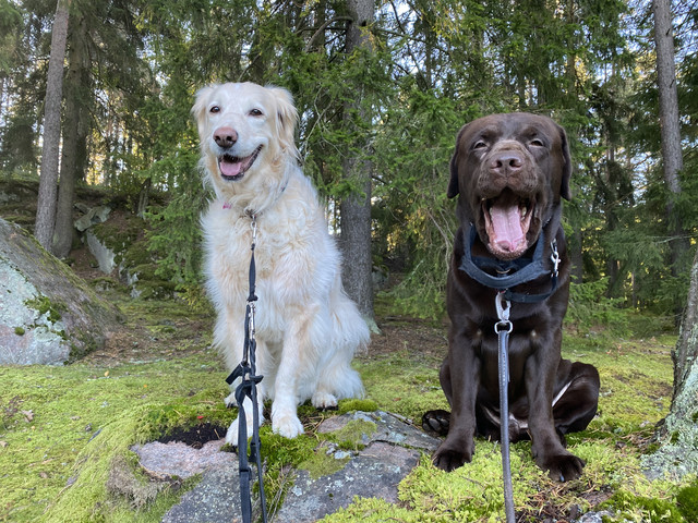 DF59-C3-E1-FCFB-4150-8-C83-F333905-AF2-A