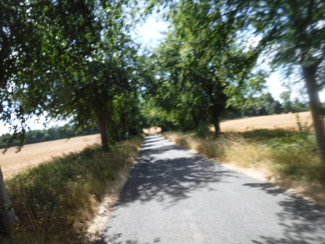 DSCF0184.jpg