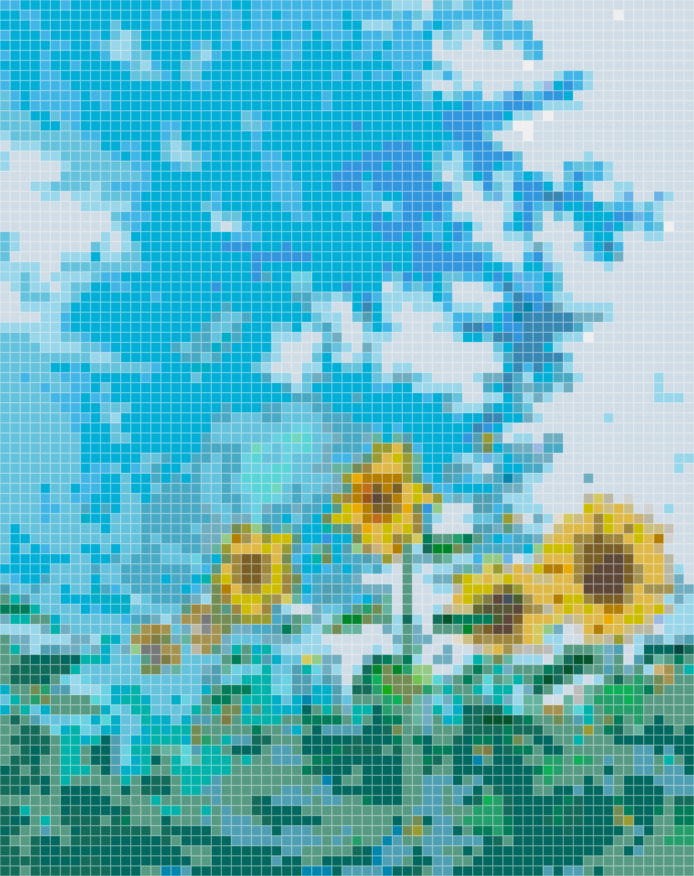 Sunflower Field Under Blue Sky
