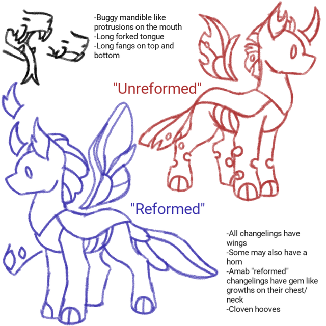 IMG-3572.png