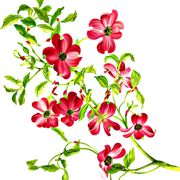 51d51ecc4302b92cd55392530fc231cb