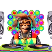 VERT dj 17853 512