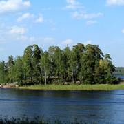 IMG-1985