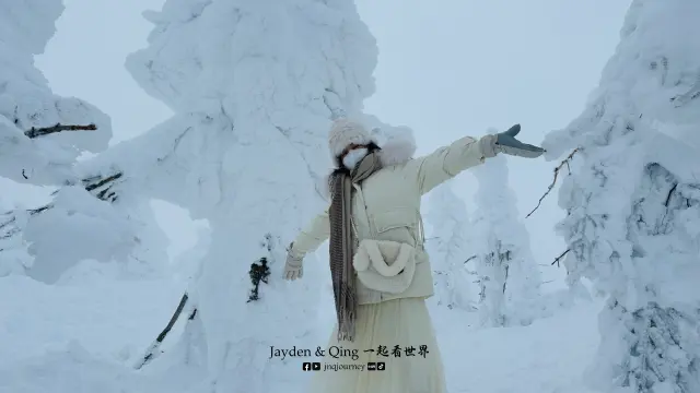 藏王树冰6.webp