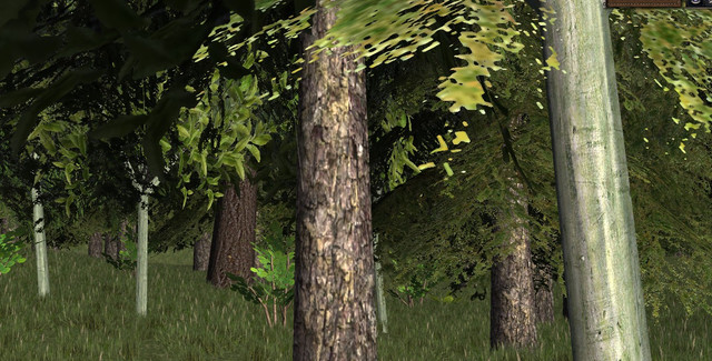 cryptic Hollow 5.jpg