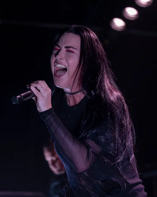 Evanescence-Deb-Pelser-1-7.webp