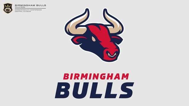Birmingham-Bulls.png