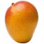 favicon.png