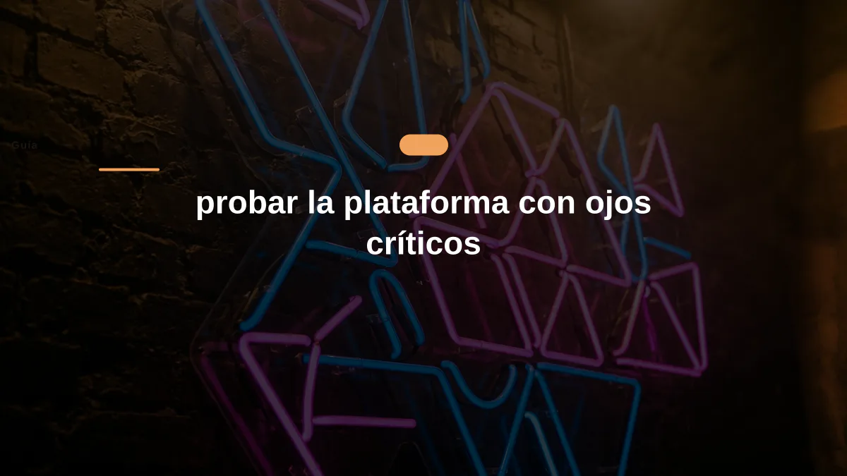 probar la plataforma con ojos críticos