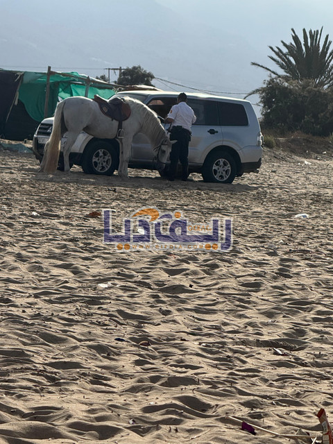 Photo 1788113156487