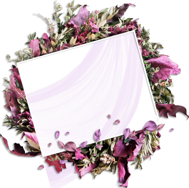 cluster-frame-16.png