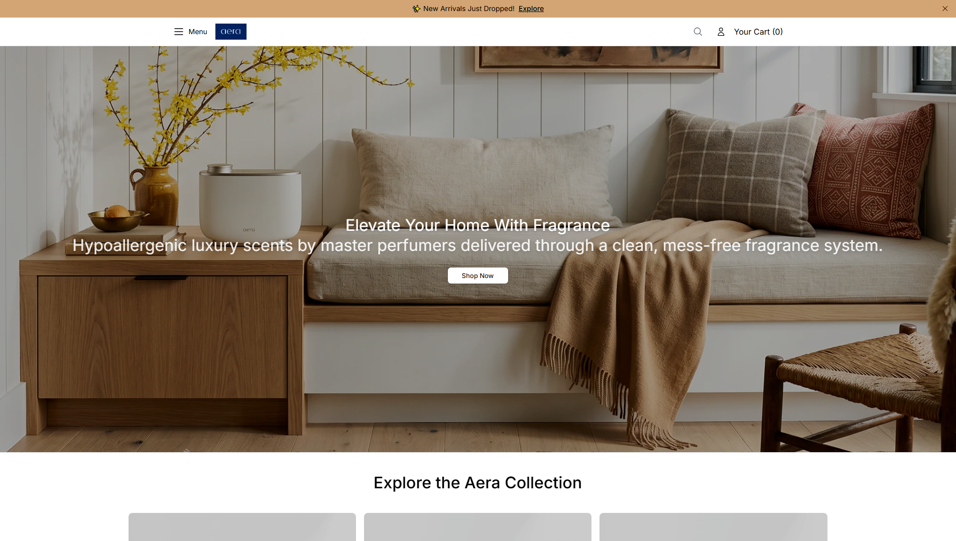 Stored capture of aerashop.shop