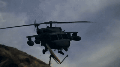Monkey.gif