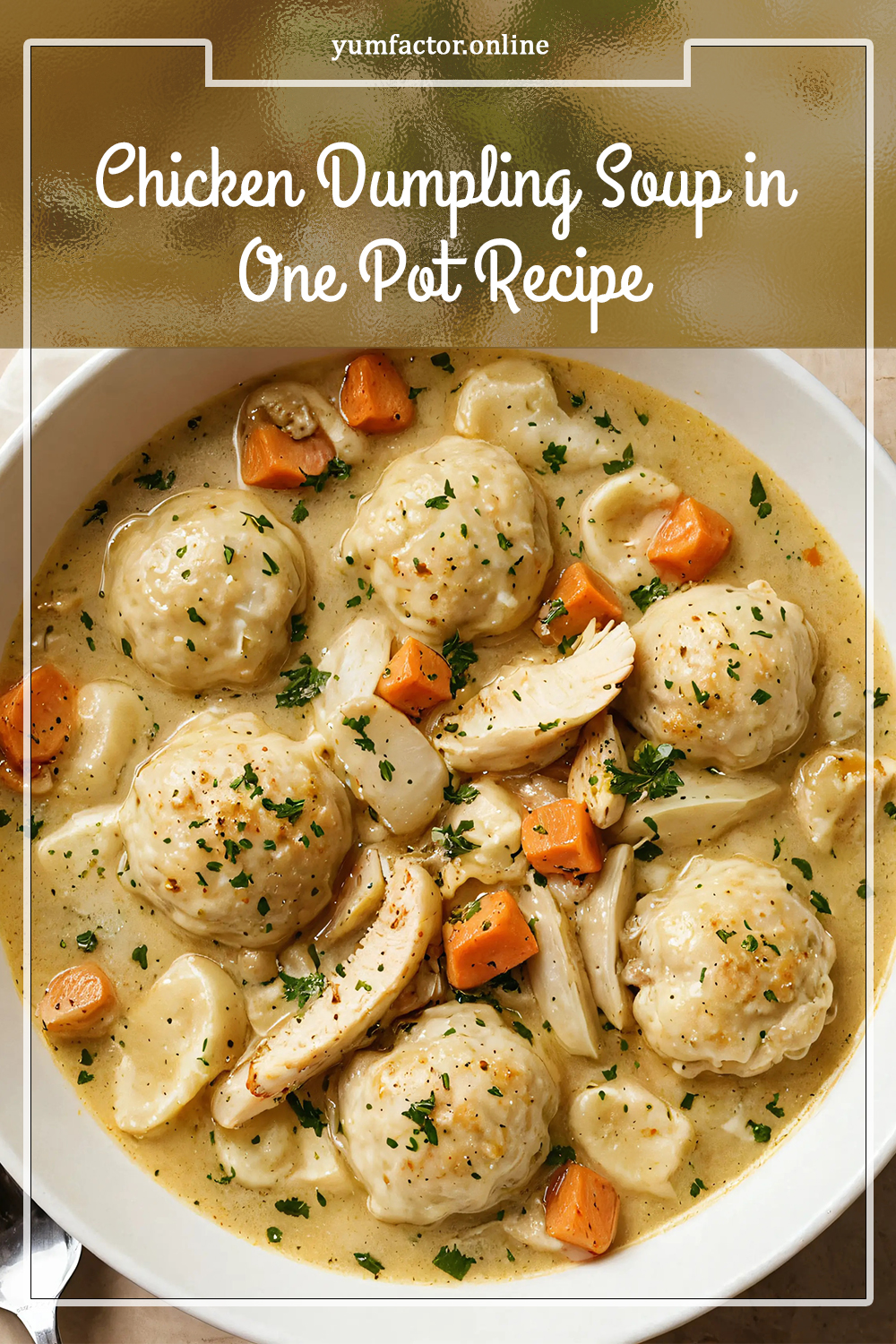 Chicken Dumpling Soup in One Pot Recipe