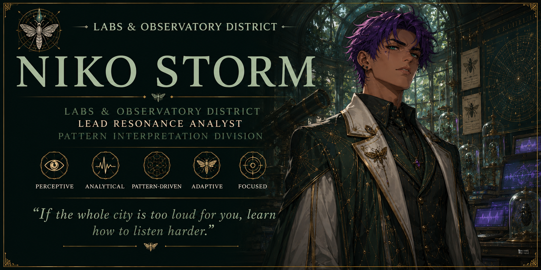 Niko Storm