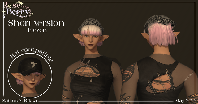 Short version Elezen.png