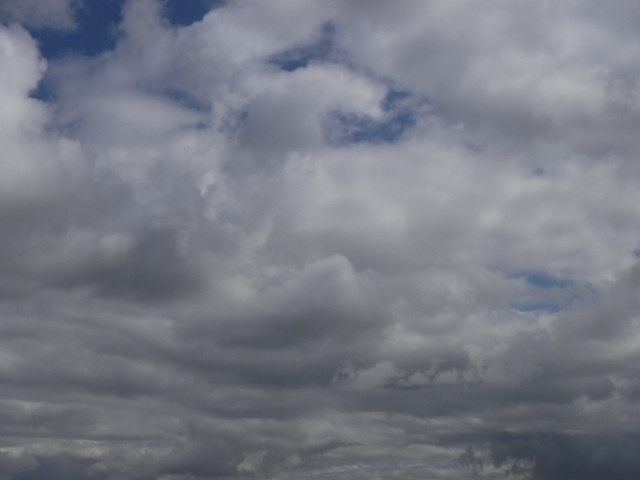 DSCF0176