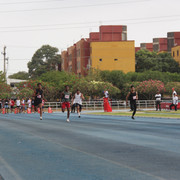 IMG-0112