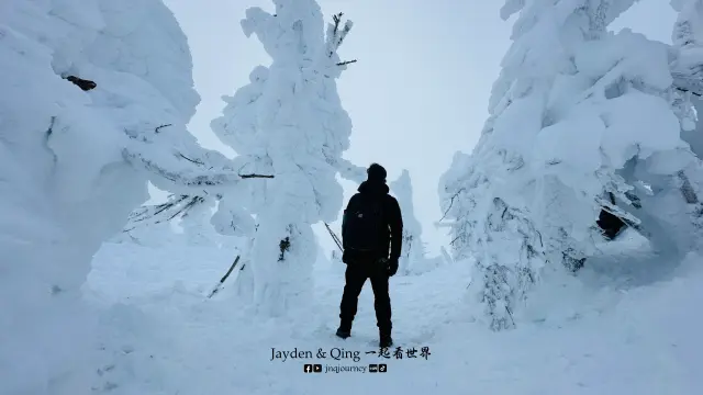 藏王树冰7.webp
