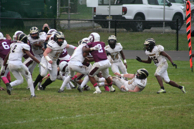 IMG-8476.jpg