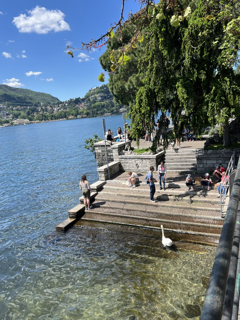 IMG-2333